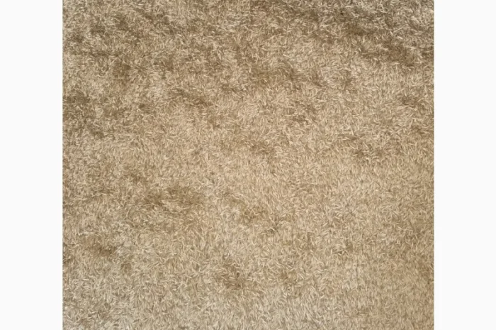 Продам Овес парламентский- фото № 3