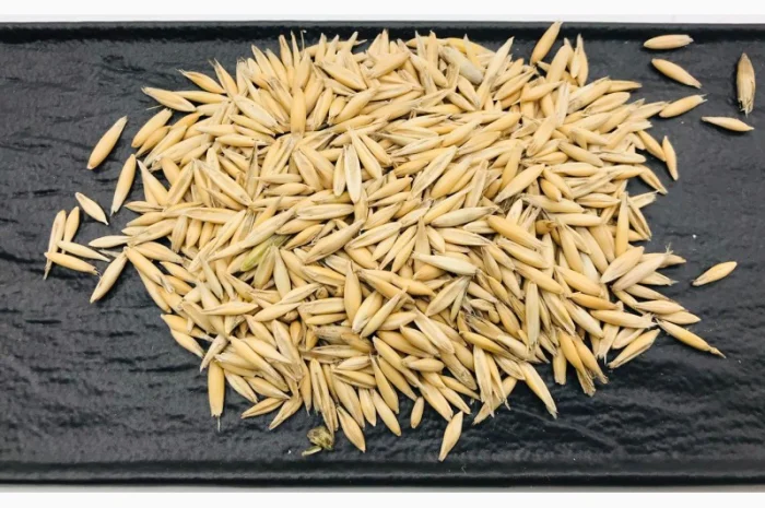 Куплю овес- фото № 1