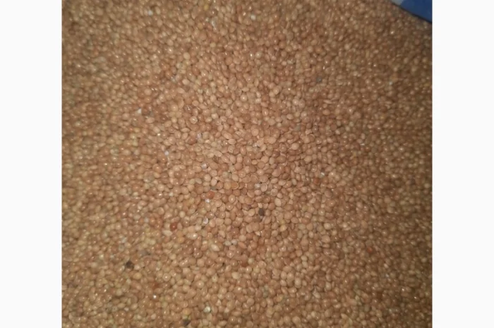 Закупівля проса- фото № 1