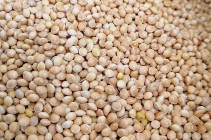 Реалізовуємо ПРОСО- фото № 1