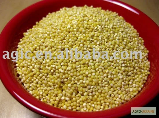 Закупівля проса жовтого червоного на самовивіз- фото № 1