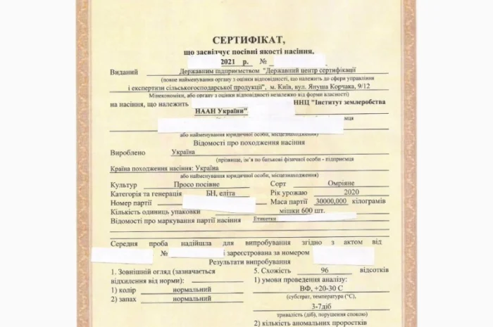 Семена просо белого, сорт "Омрияне"- фото № 2