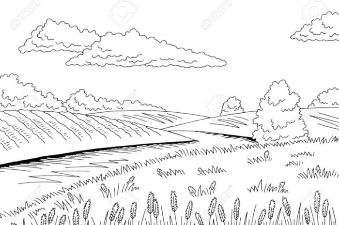 Закупка жовтого проса від 20 тонн- фото № 1