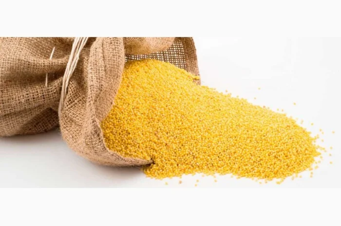 Закупівля проса різних видів- фото № 1