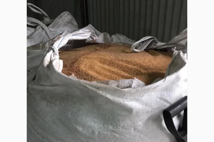 Закупівля проса білого, жовтого, червоного- фото № 2