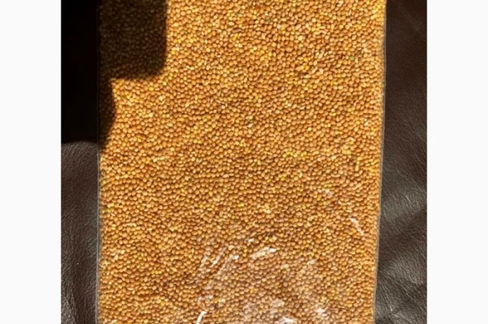 Просо жовте, біле, червоне, насіння канаркової трави- фото № 1