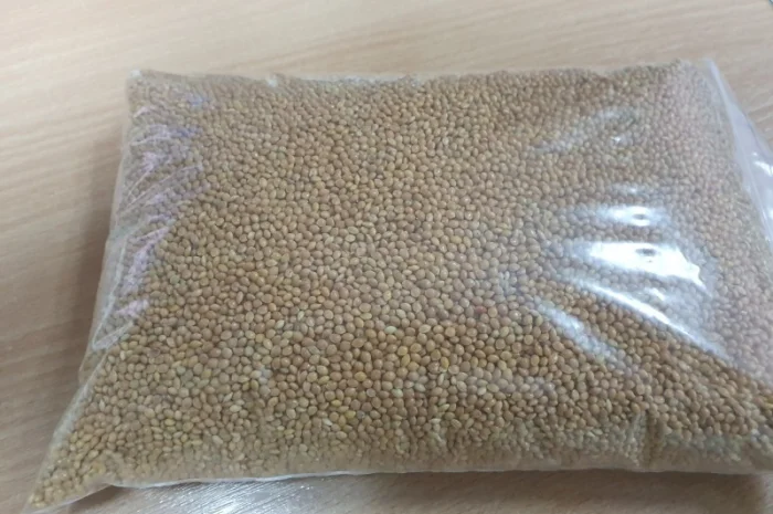 Просо посівне "Біла Альтанка" 1р- фото № 1