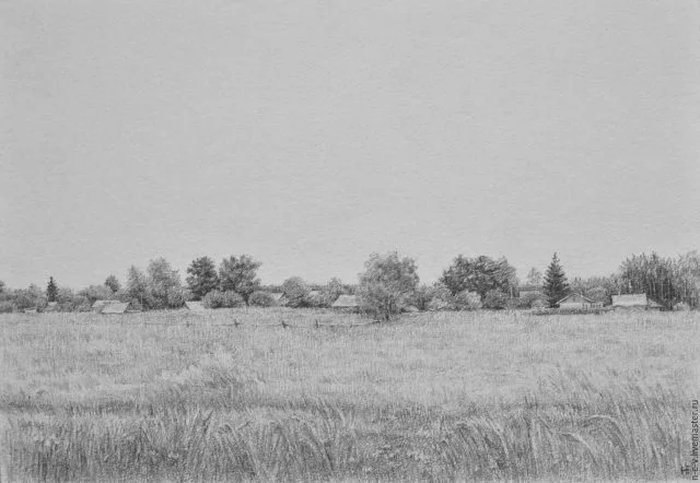 Закупівля ЖОВТОГО ПРОСА на переробку- фото № 1