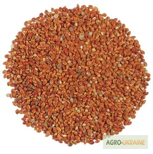 Куплю просо красное, жёлтое- фото № 1