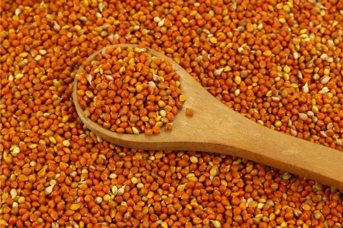 Куплю просо червоне- фото № 1