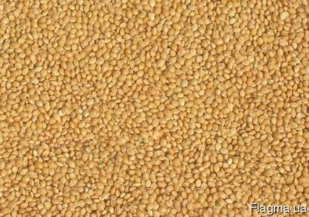 Куплю жовте просо- фото № 1