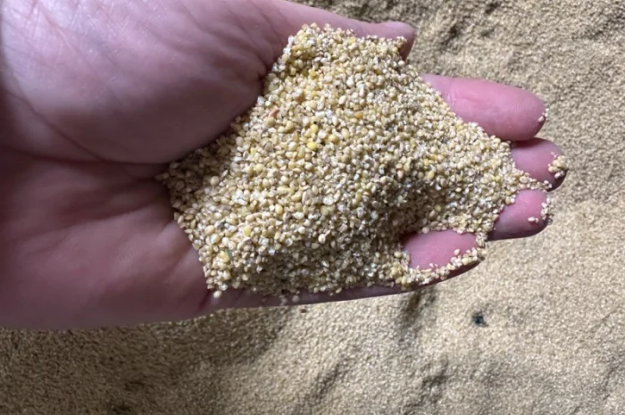 Продаємо відходи проса- фото № 1
