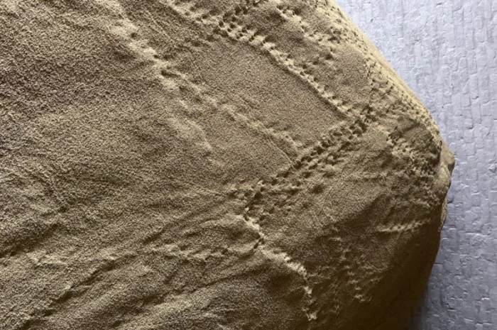 Продаємо відходи проса- фото № 3