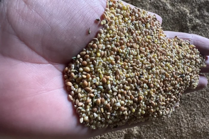 Продаємо відходи проса- фото № 4