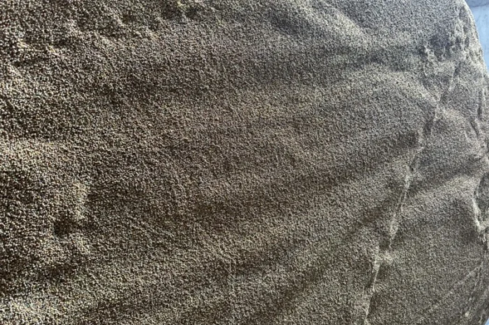 Продаємо відходи проса- фото № 6