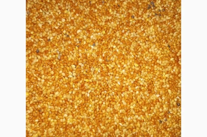 Продам просо микс- фото № 1