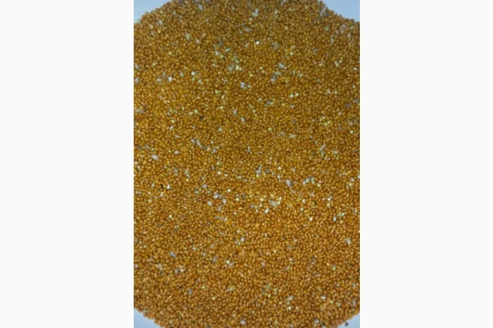 Полтавське золоте просо- фото № 2