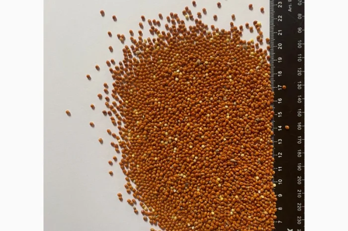 Куплю Червоне Просо- фото № 1