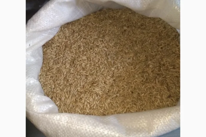 Жито насіння, сидерат- фото № 1