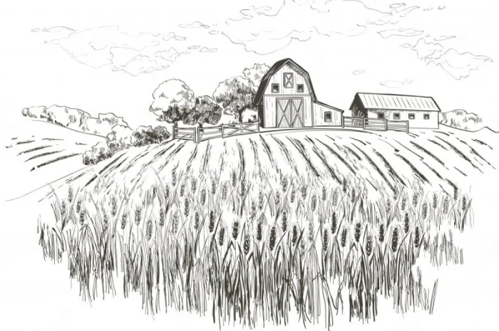 Закупаем Тритикале круглый год на переработку. Быстро. Дорого. Самовывоз- фото № 1