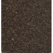 Семена вики яровой ГИБРИДНАЯ 85 элита 1 репрод- фото № 1