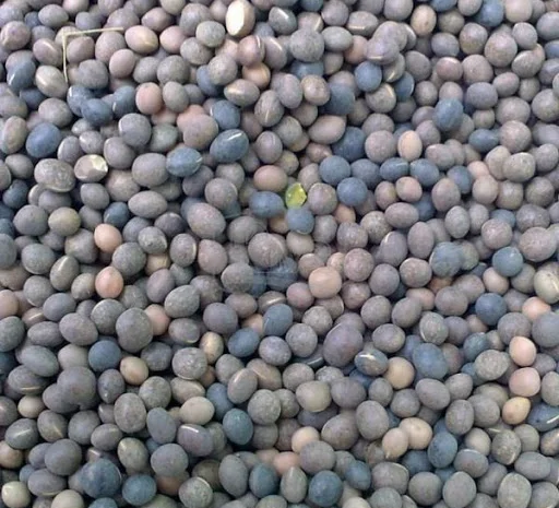 Закупаем Вику дорого, самовывоз- фото № 1