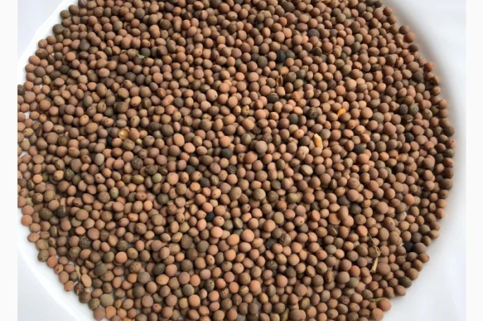 Вика пелюшка- фото № 1