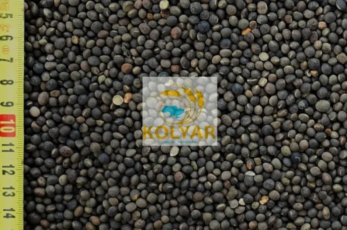 Закуповуємо вику- фото № 1