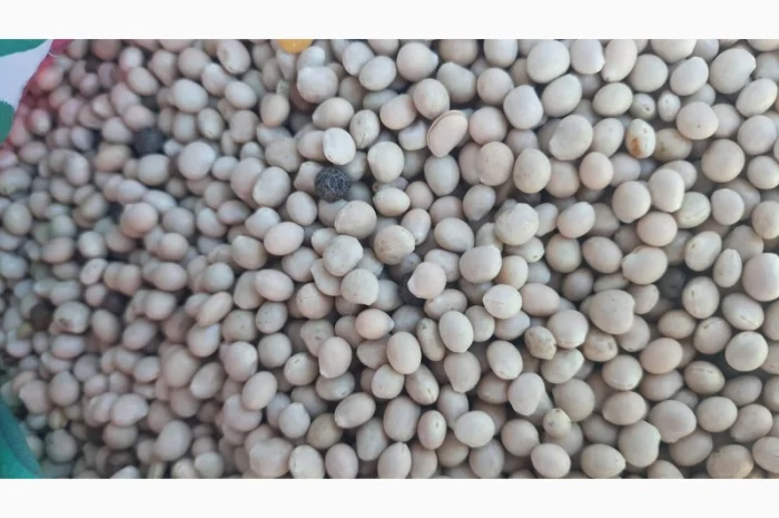 Купую люпин- фото № 1