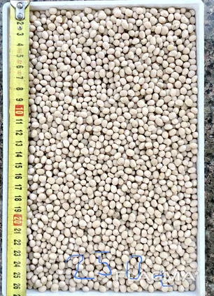 Куплю люпин- фото № 1