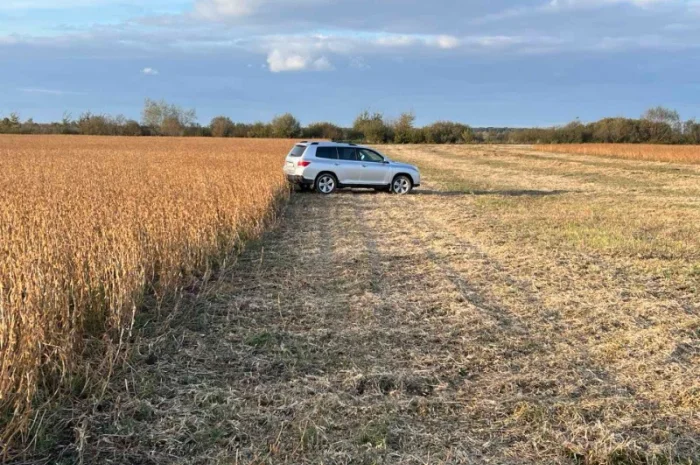 Продажа сои не ГМО урожая 2024 года- фото № 2