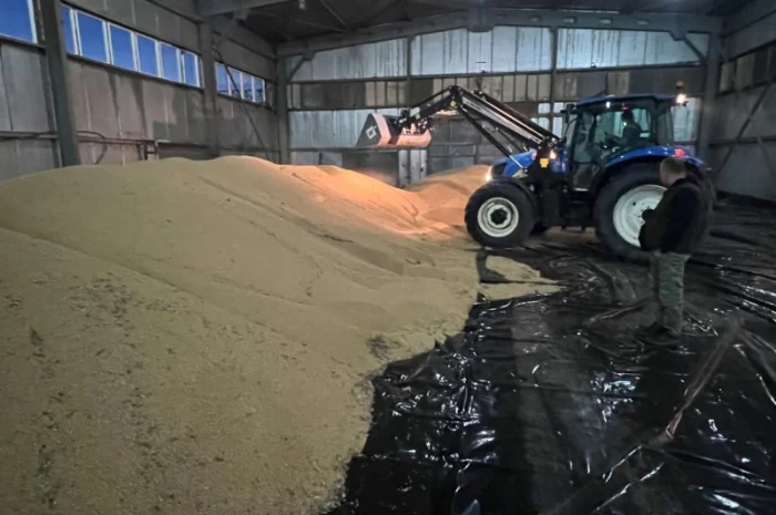 Продажа сои не ГМО урожая 2024 года- фото № 3