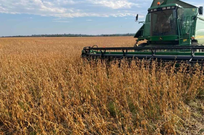 Продажа сои не ГМО урожая 2024 года- фото № 5