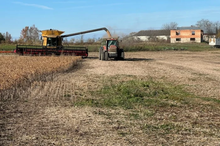 Продажа сои не ГМО урожая 2024 года- фото № 6