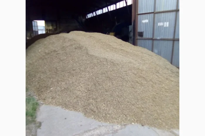 Половинки сои- фото № 1