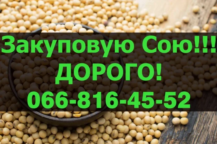 Закупаем сою оптом- фото № 1