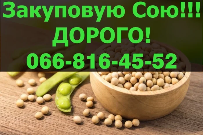 Купую СОЮ від виробника- фото № 1