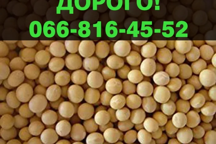 Куплю соевое зерно от производителя на постоянной основе- фото № 1