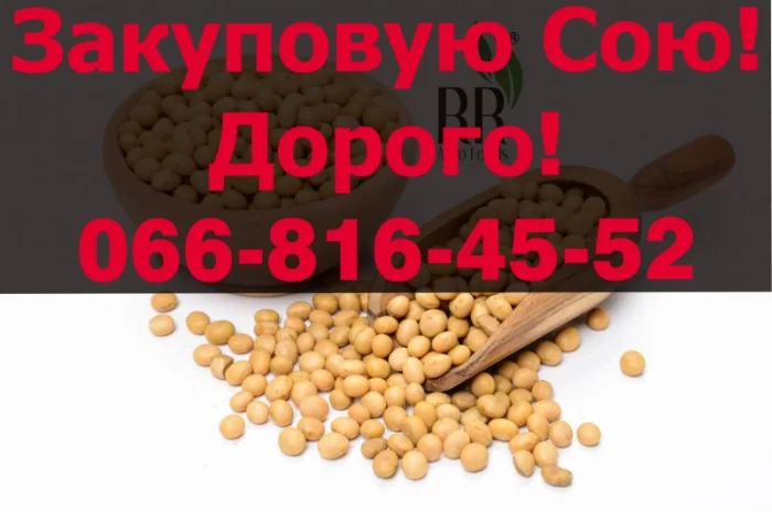 Куплю СОЮ от производителя! Доукомплектование контракта- фото № 1