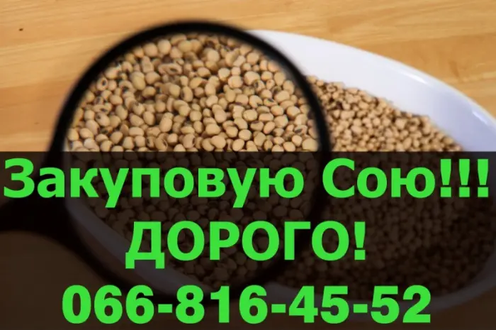 Куплю СОЮ по высокой цене!Самые высокие цены в Украине- фото № 1