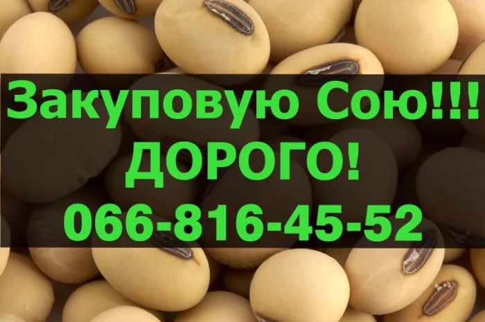 Переробне підприємство оголошує про закупівлю СОЮ- фото № 1