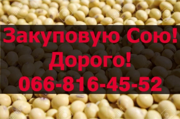 Куплю сою в любом объеме- фото № 1