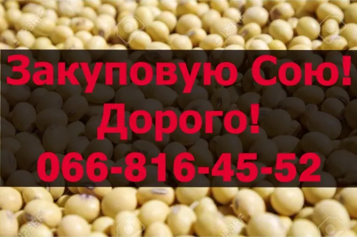 Покупаю СОЮ в любом объеме- фото № 1