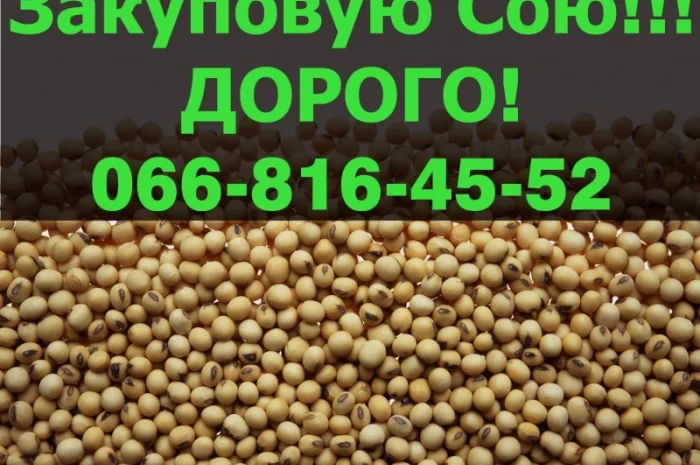 Запрошуємо до співпраці виробників СОЇ! Куплю сою дорого!- фото № 1