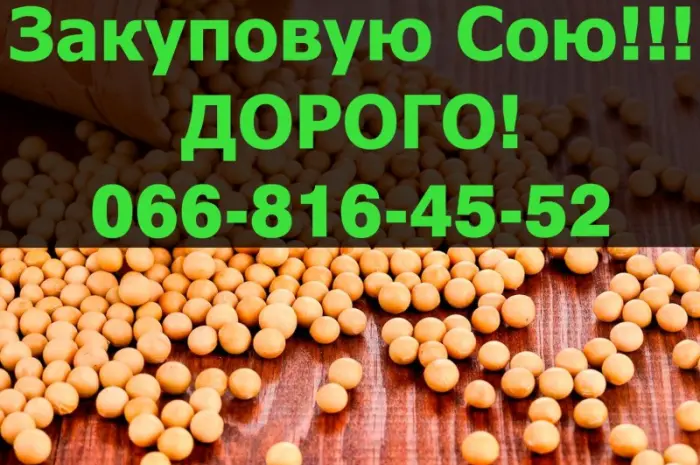 Покупаем СОЮ на конкурентных условиях- фото № 1