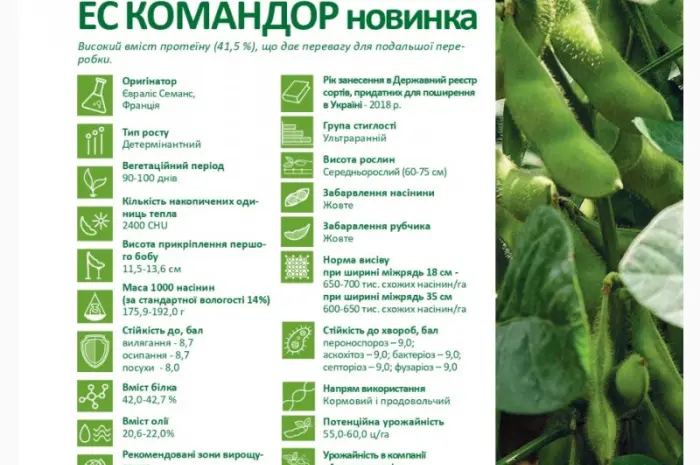 Пропонуємо насіння сої ЕС Командор (СН-1) Без ГМО- фото № 1