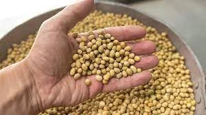 Купим сою з поля і складу, вологу- фото № 2