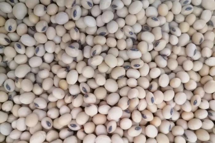 Соя під Раундап Канзас, Ультра, Аполло, Монро, Аббі, Хайстар, Олдхем, Озборн, Сенсор- фото № 1