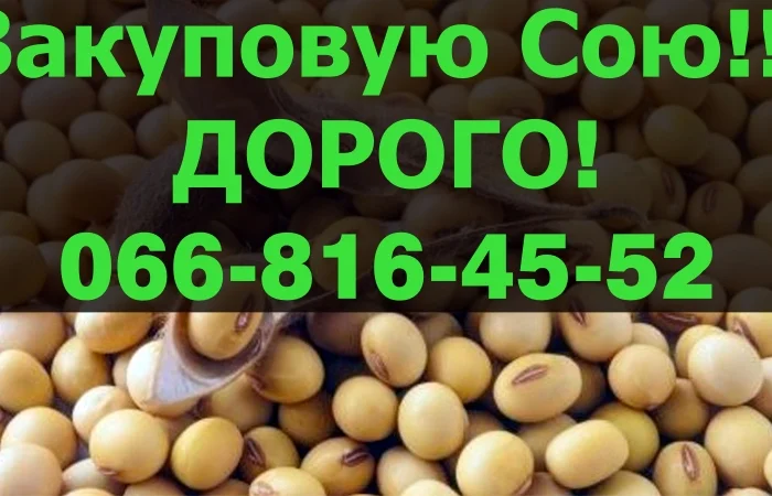 Закупівля сої від виробника в Полтаві- фото № 1