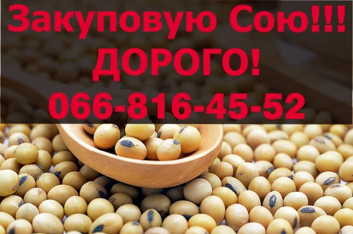 Закупка сои по высоким ценам- фото № 1